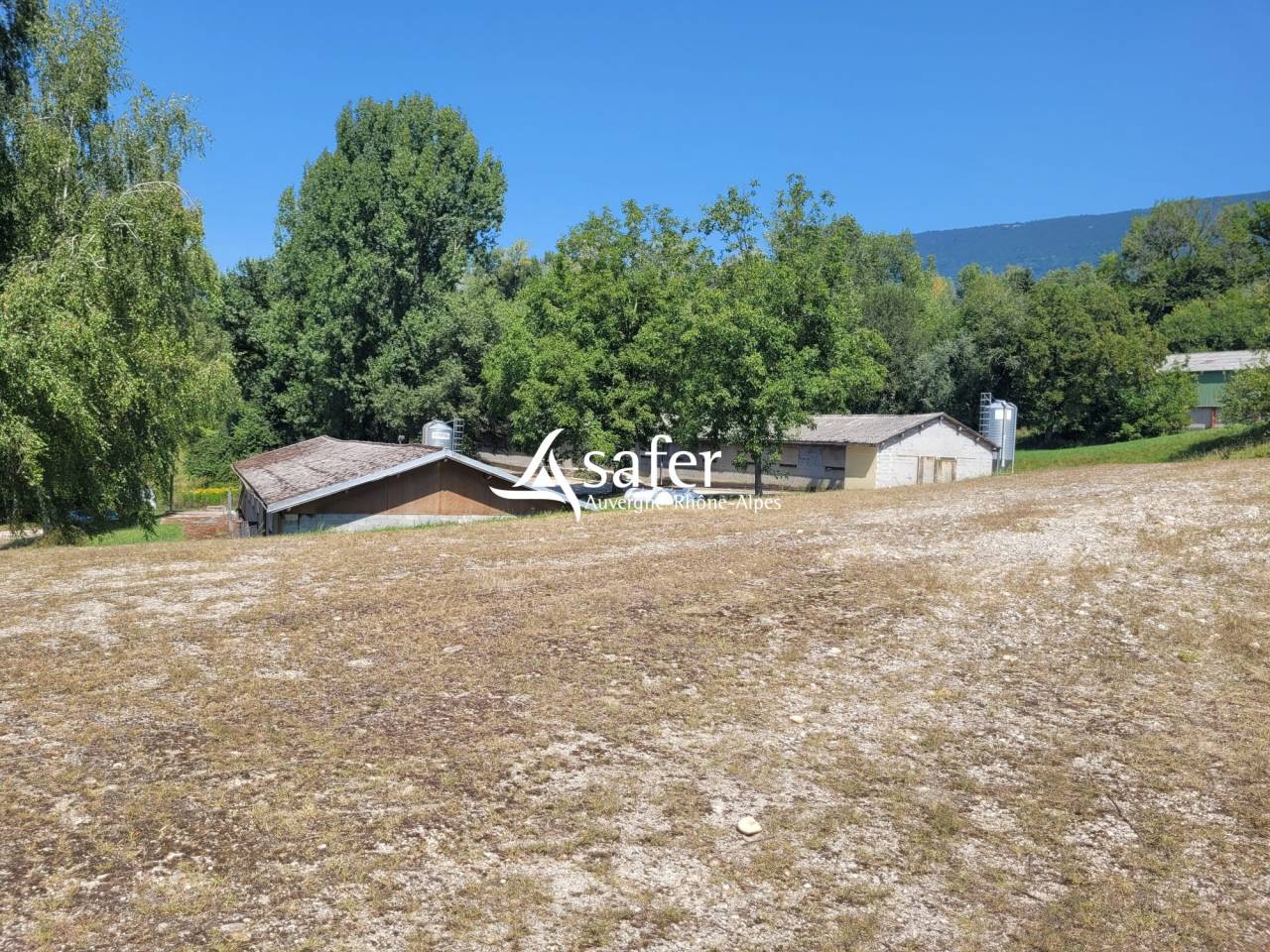 Azienda avicola In vendita Savoie