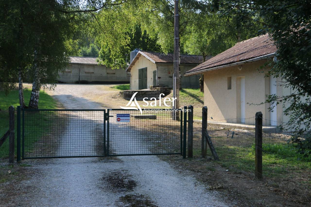 Azienda avicola In vendita Savoie