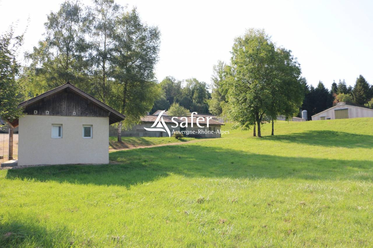 Azienda avicola In vendita Savoie