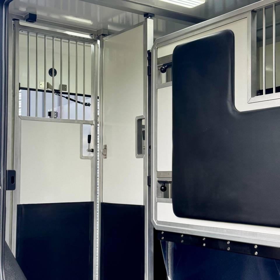 Van per Cavalli AKX Akx5 2025 Nuovo