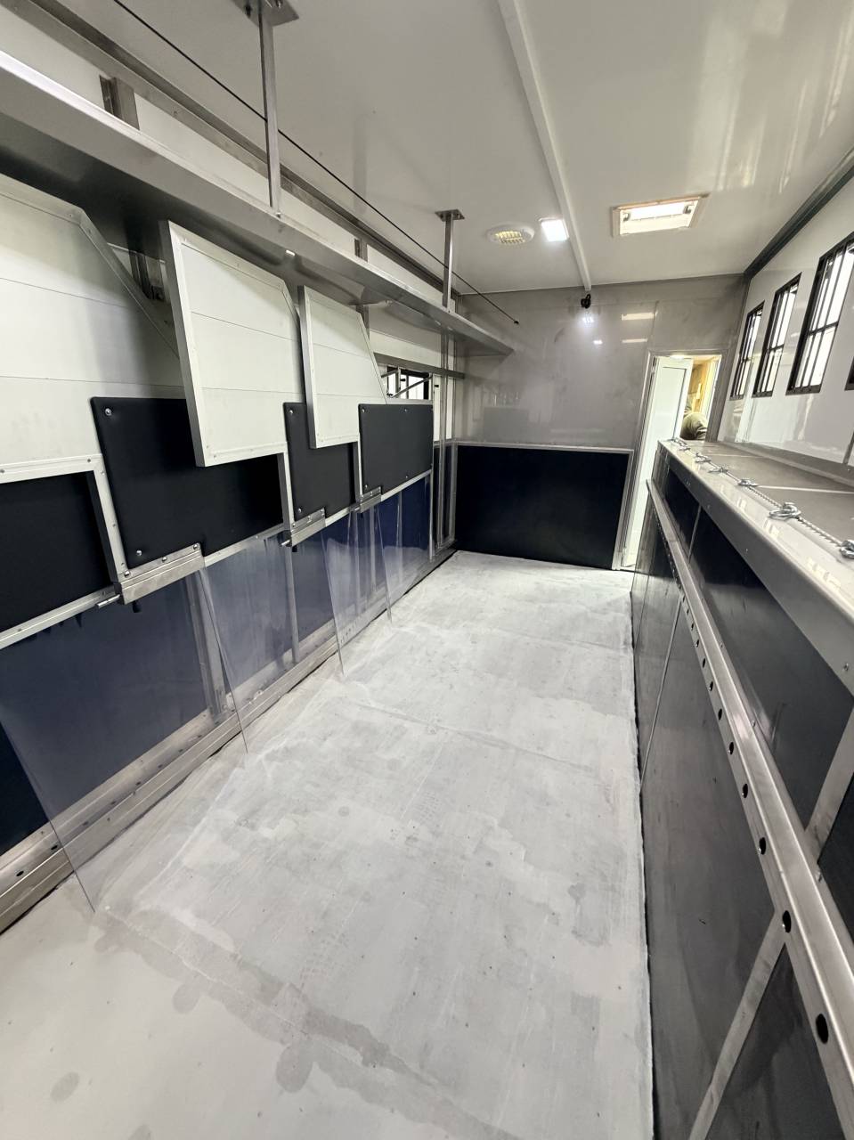 Camion per Cavalli Renault CONCEPTPGO7 2017 Occasione