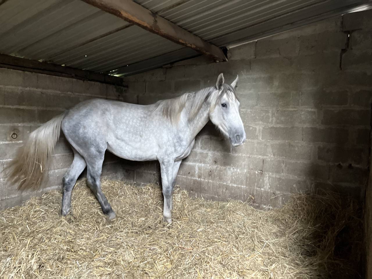 Tirocinante - Tirocinante Part-time - Calvados Francia