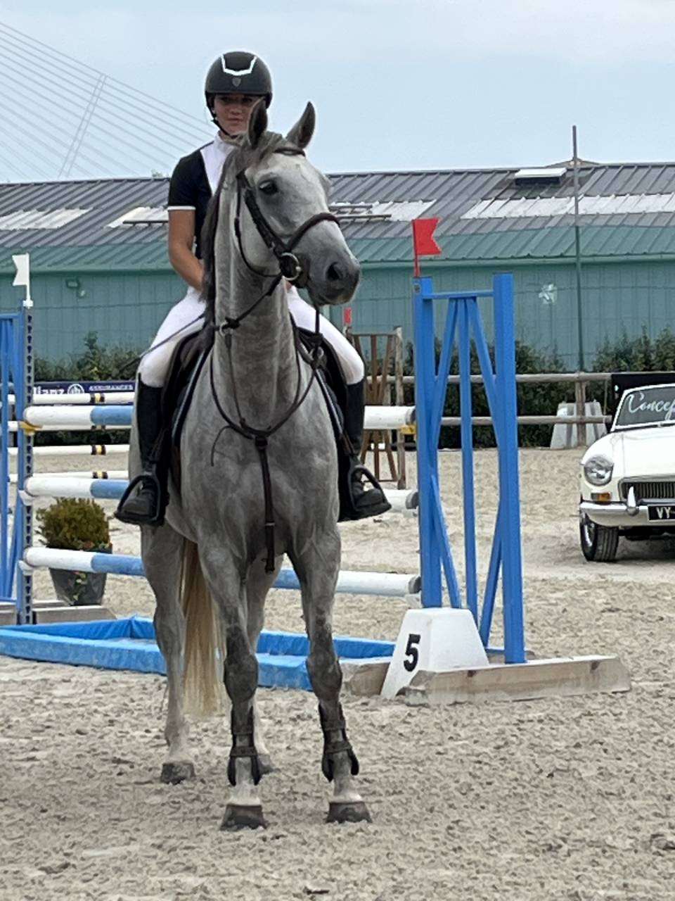 Tirocinante - Tirocinante Part-time - Calvados Francia