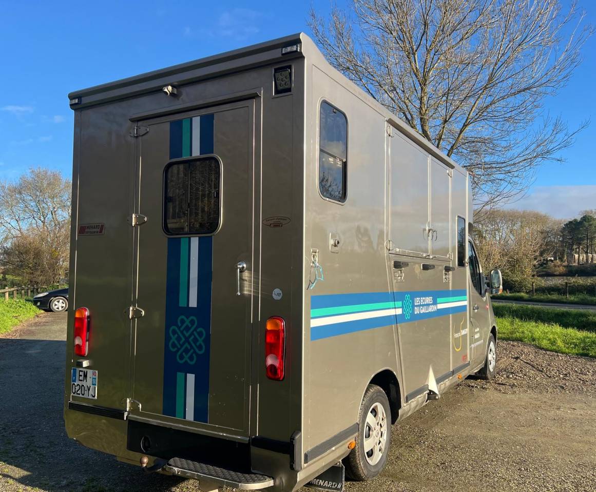 Van per Cavalli Renault Master 2017 Occasione