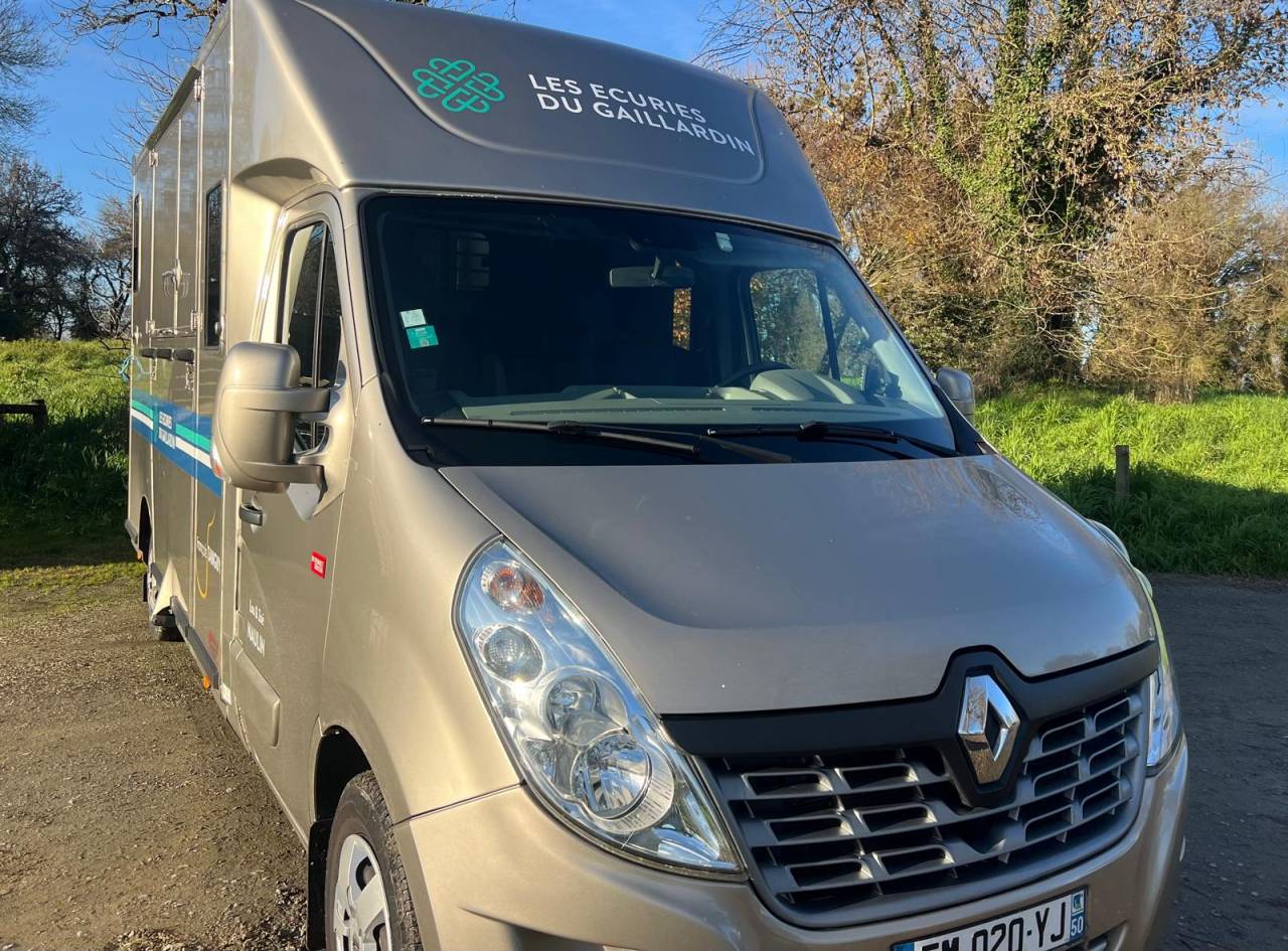 Van per Cavalli Renault Master 2017 Occasione