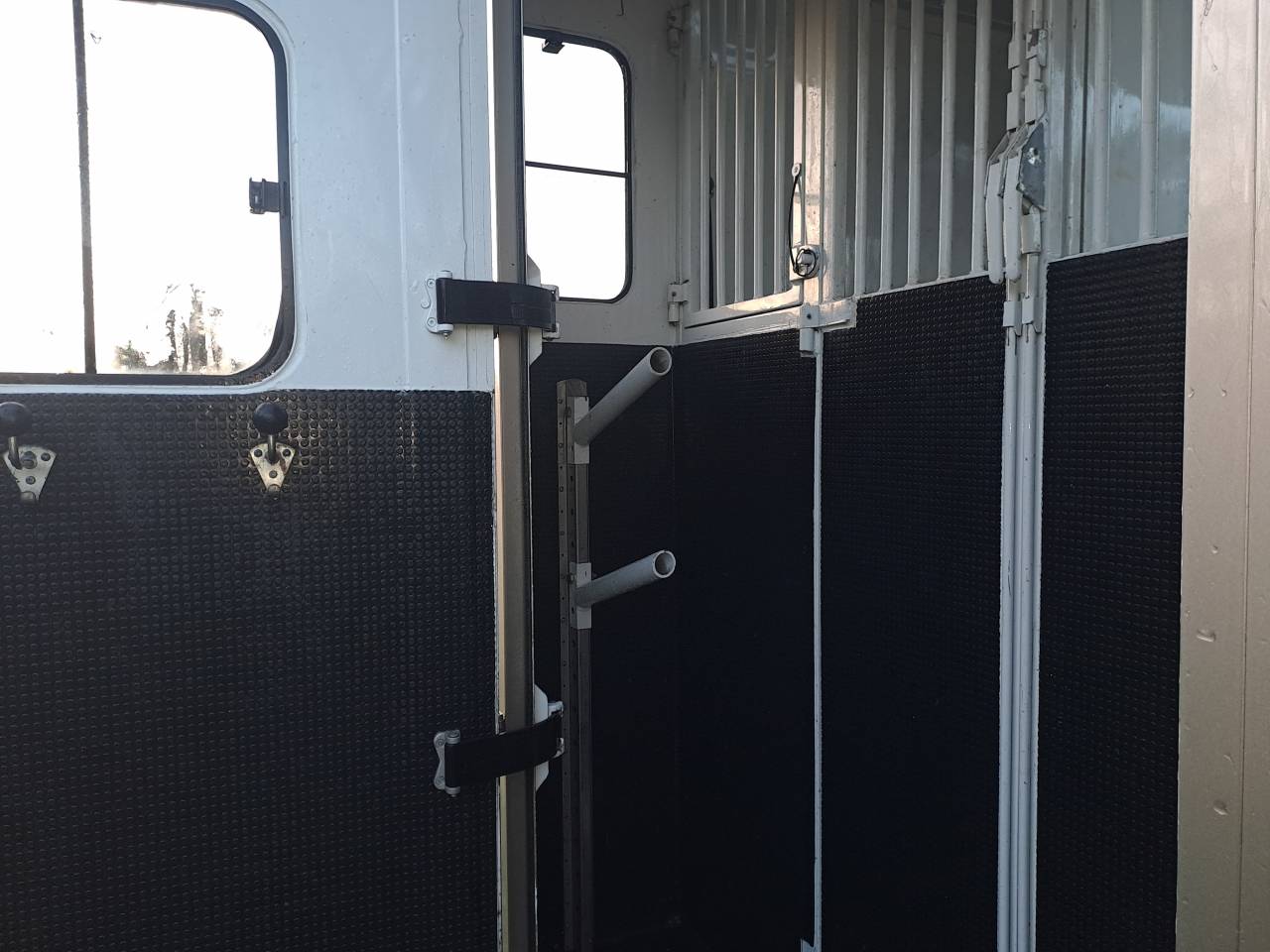 Van per Cavalli Renault Master 2017 Occasione