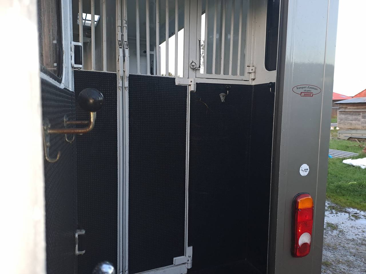 Van per Cavalli Renault Master 2017 Occasione