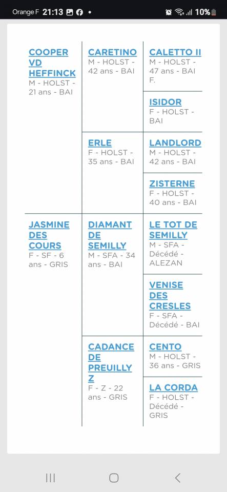 Cavalla Sella Francese In vendita 2024 Baio ,  Cooper van’t Heffinck