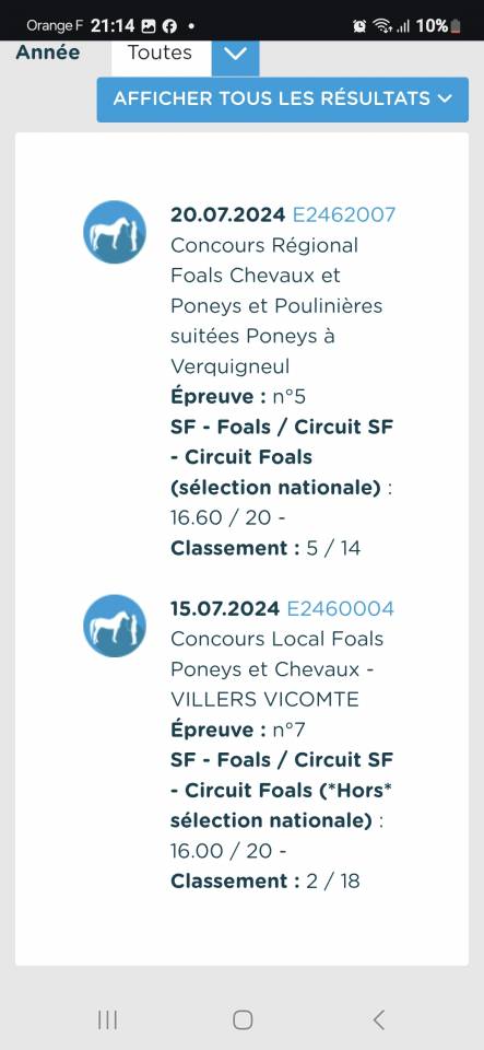 Cavalla Sella Francese In vendita 2024 Baio ,  Cooper van’t Heffinck