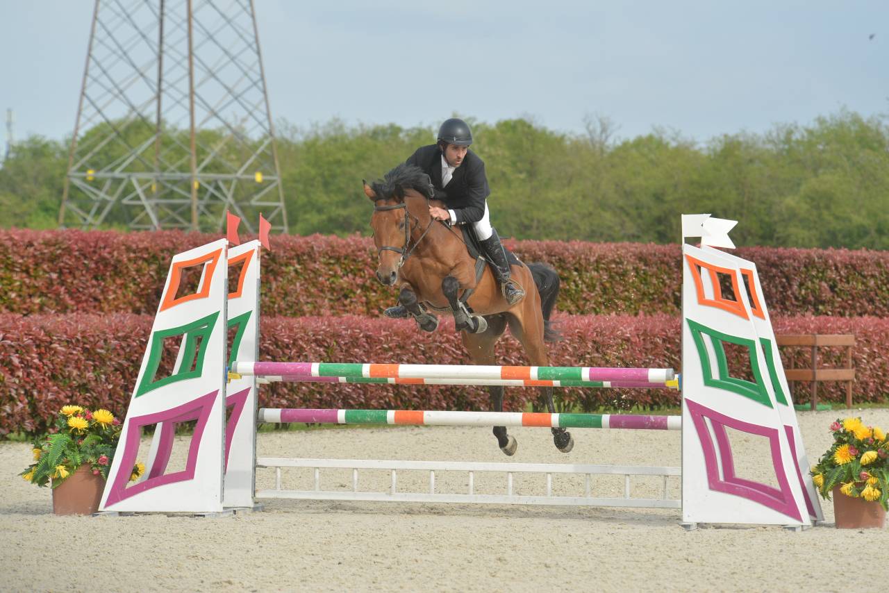 Cavallo Italiano Salto Ostacoli