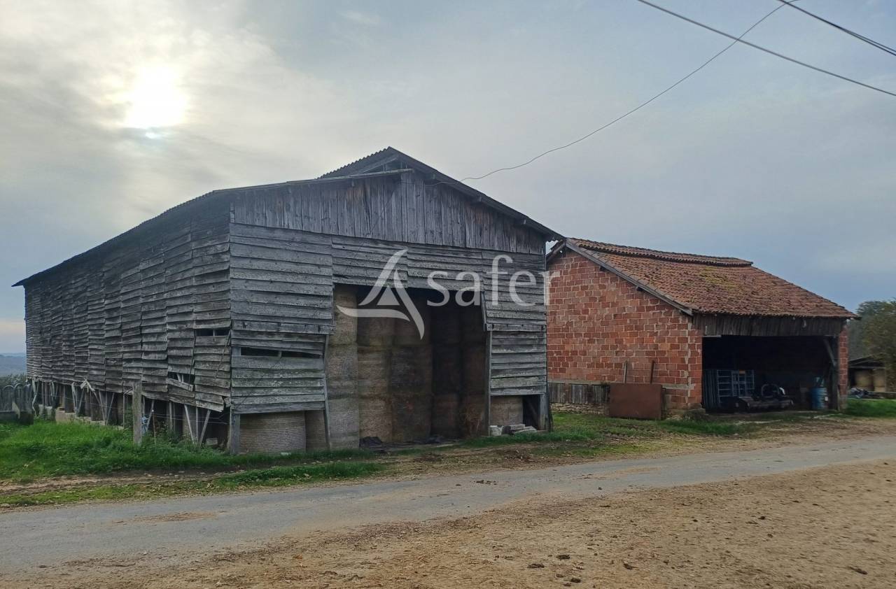 Azienda ovina In vendita Dordogne