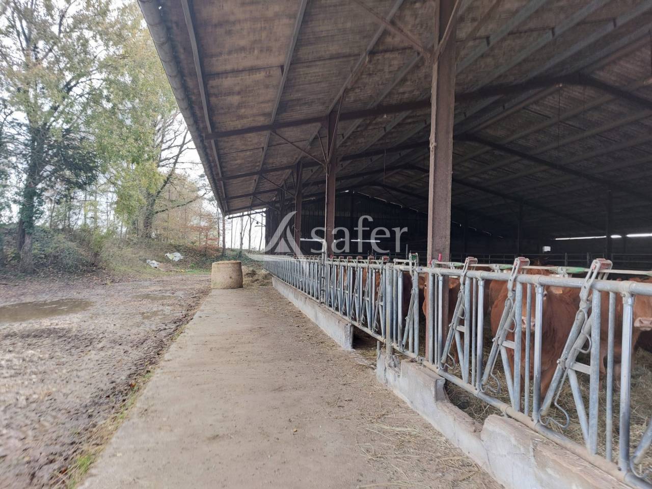 Azienda ovina In vendita Dordogne