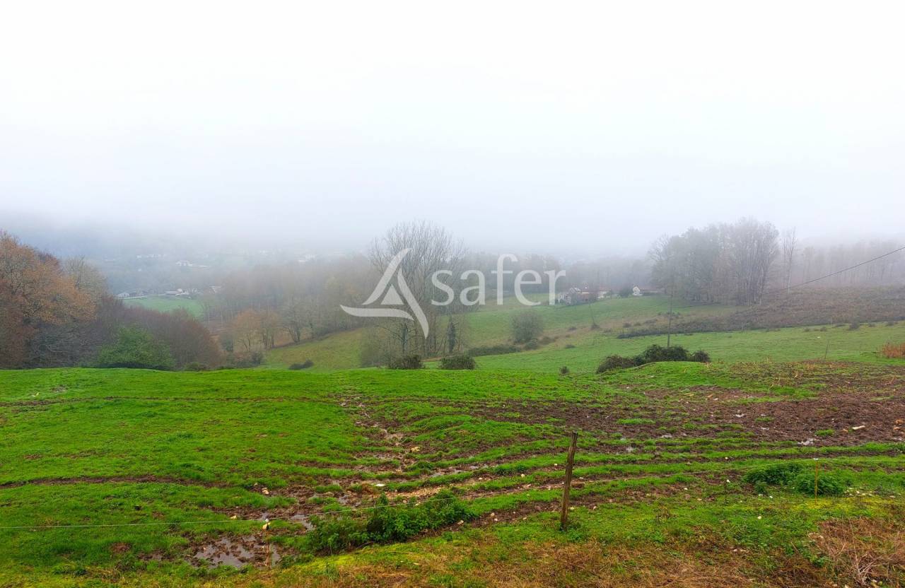Azienda ovina In vendita Dordogne