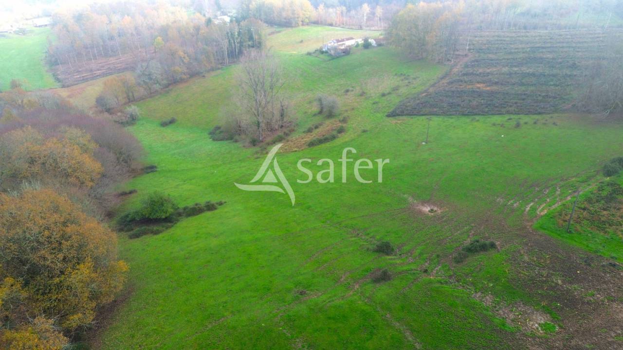 Azienda ovina In vendita Dordogne