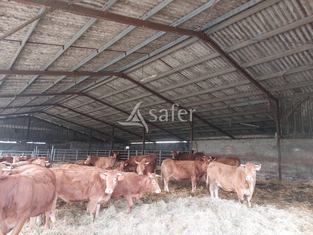 Azienda ovina In vendita Dordogne