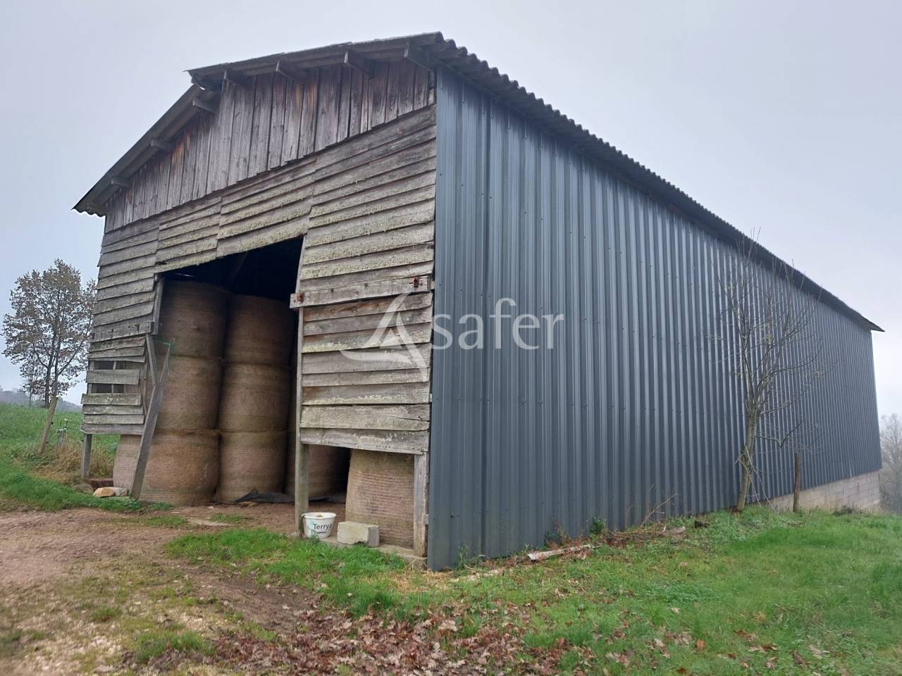 Azienda ovina In vendita Dordogne