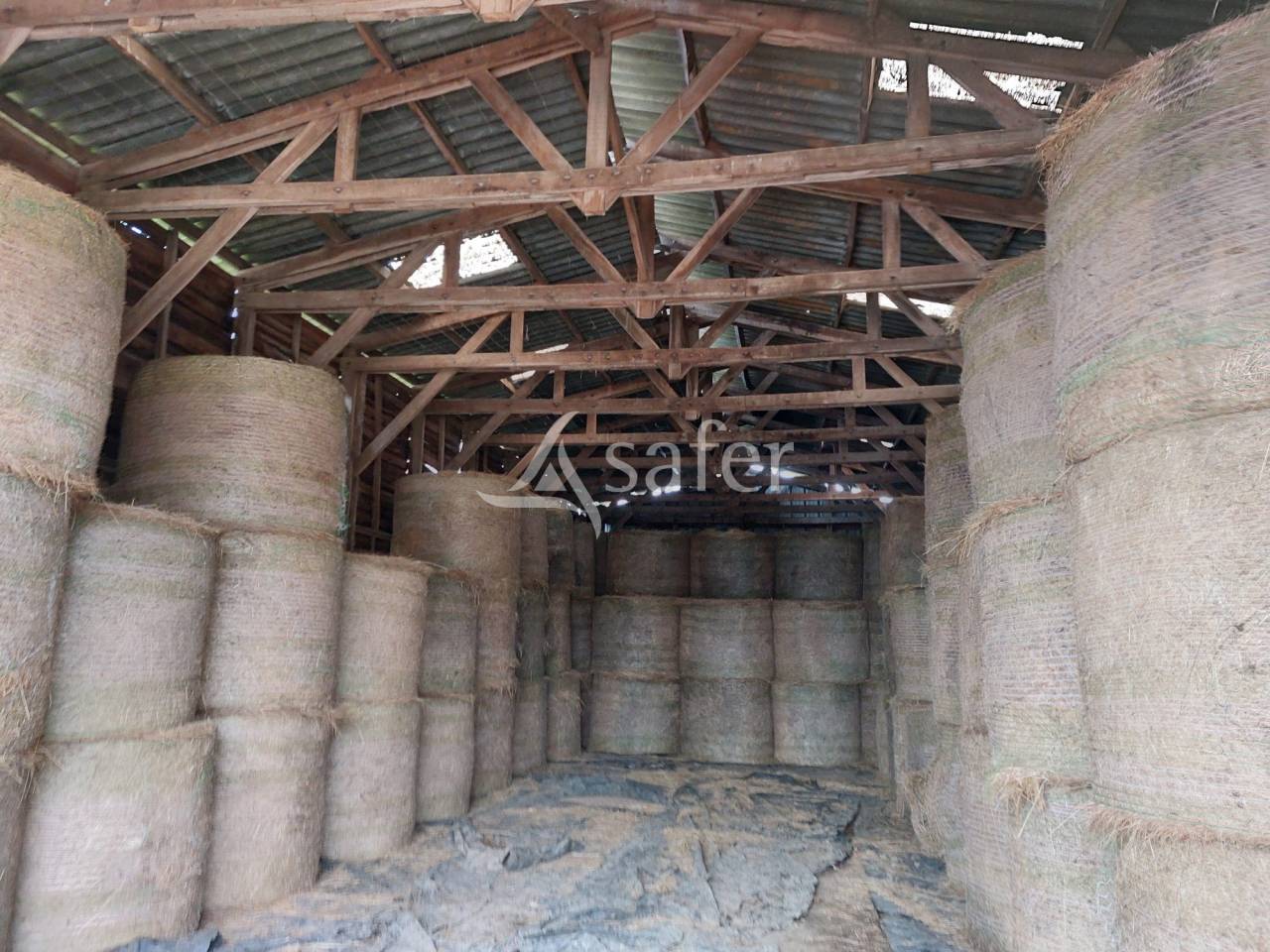 Azienda ovina In vendita Dordogne