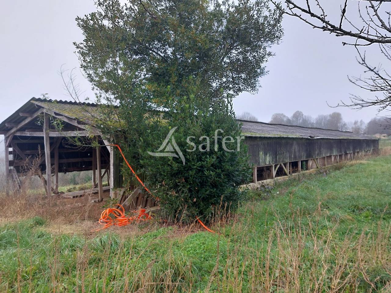 Azienda ovina In vendita Dordogne