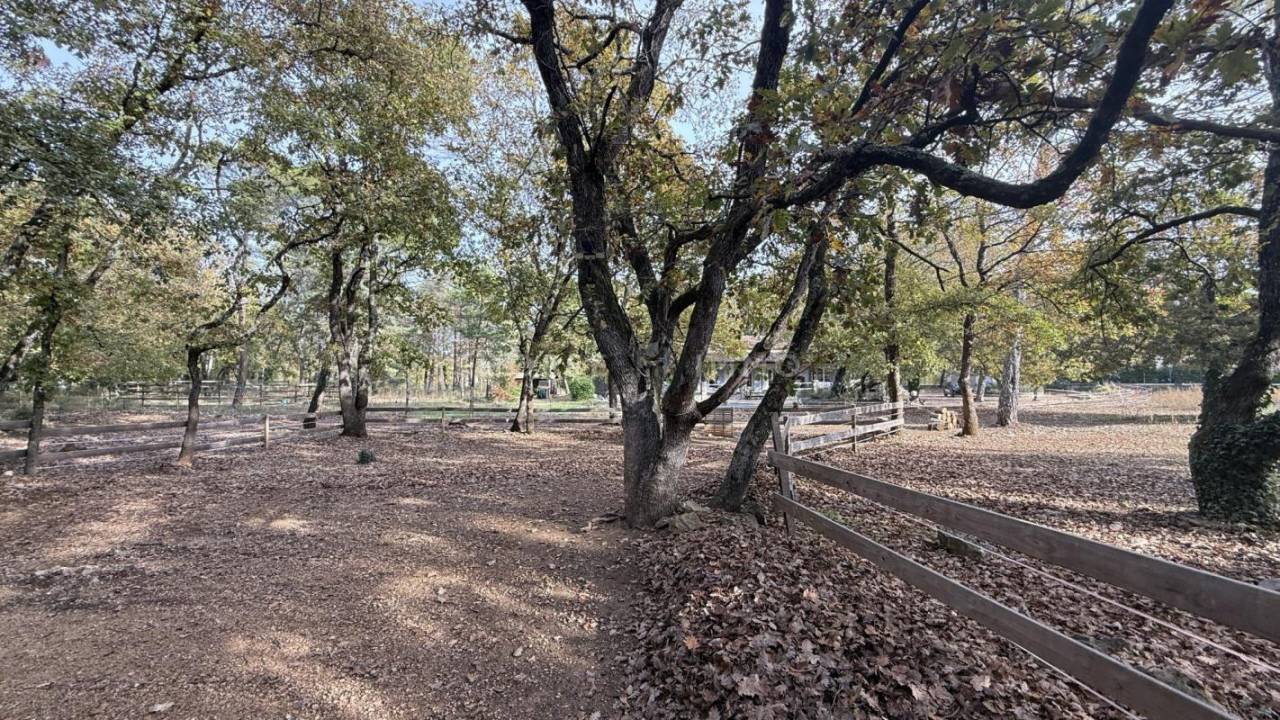 Propriet&agrave; equestre In vendita Var