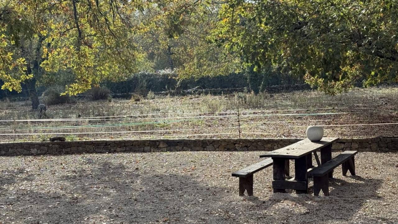 Propriet&agrave; equestre In vendita Var