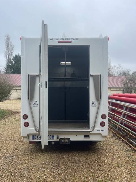 Van per Cavalli Theault  2013 Occasione