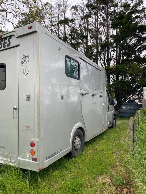 Van per Cavalli Trans Box  2014 Occasione