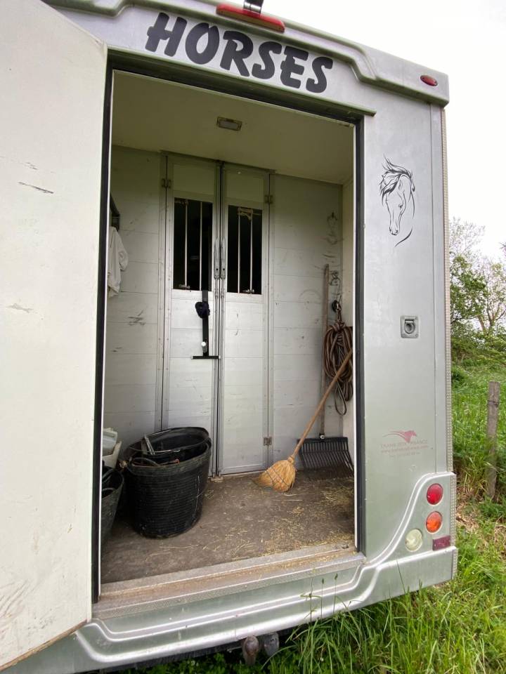 Van per Cavalli Trans Box  2014 Occasione