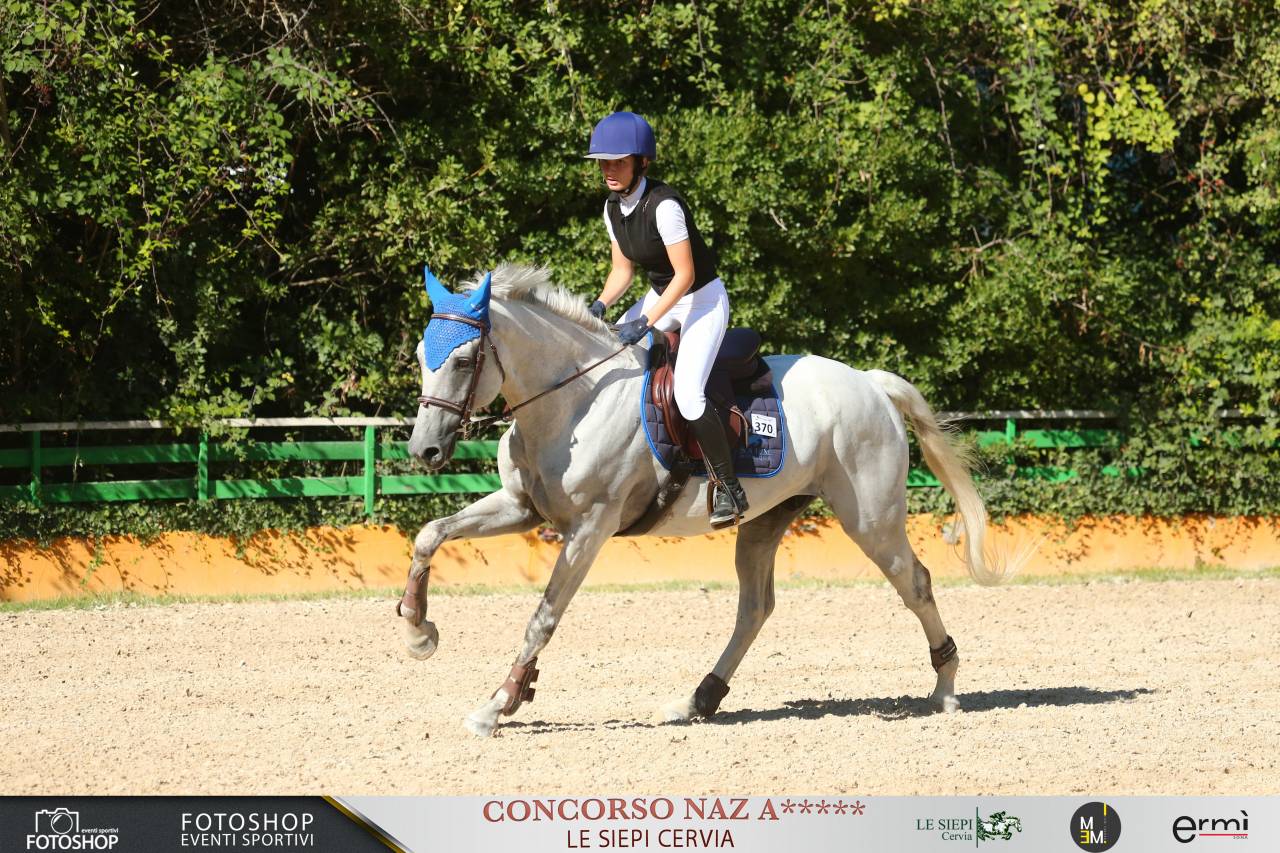 vendo sella italiano di 13 anni