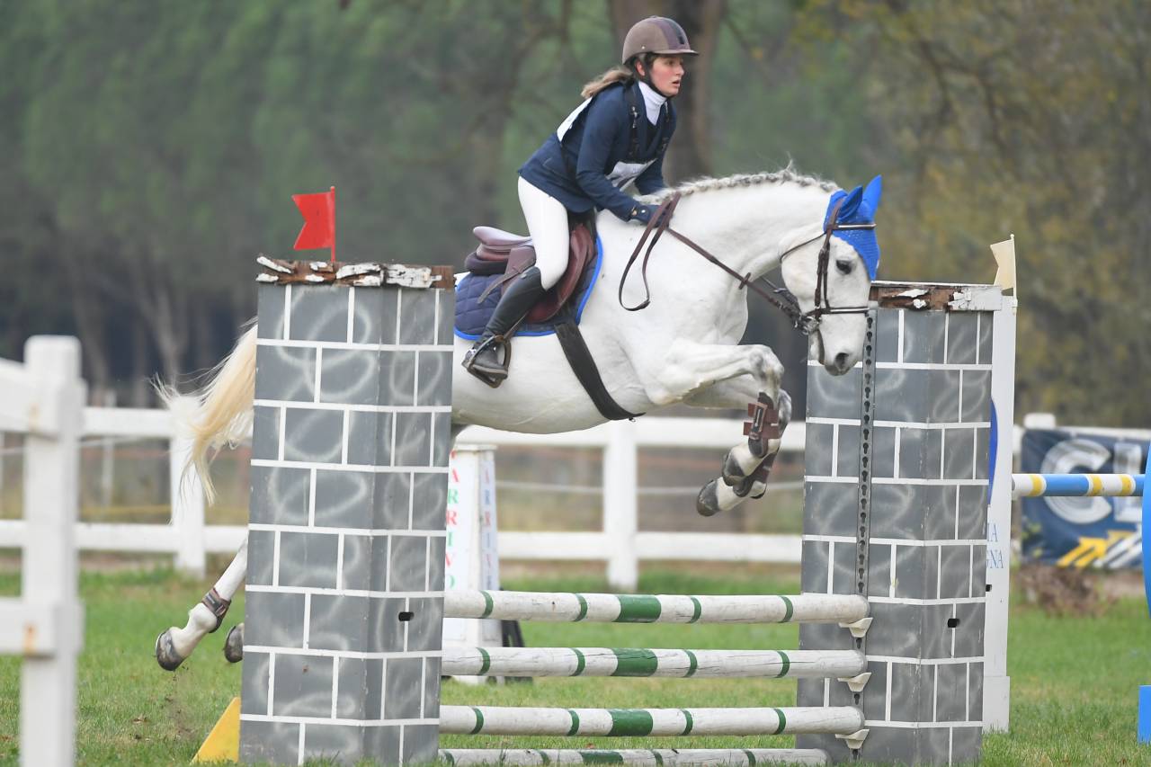 vendo sella italiano di 13 anni