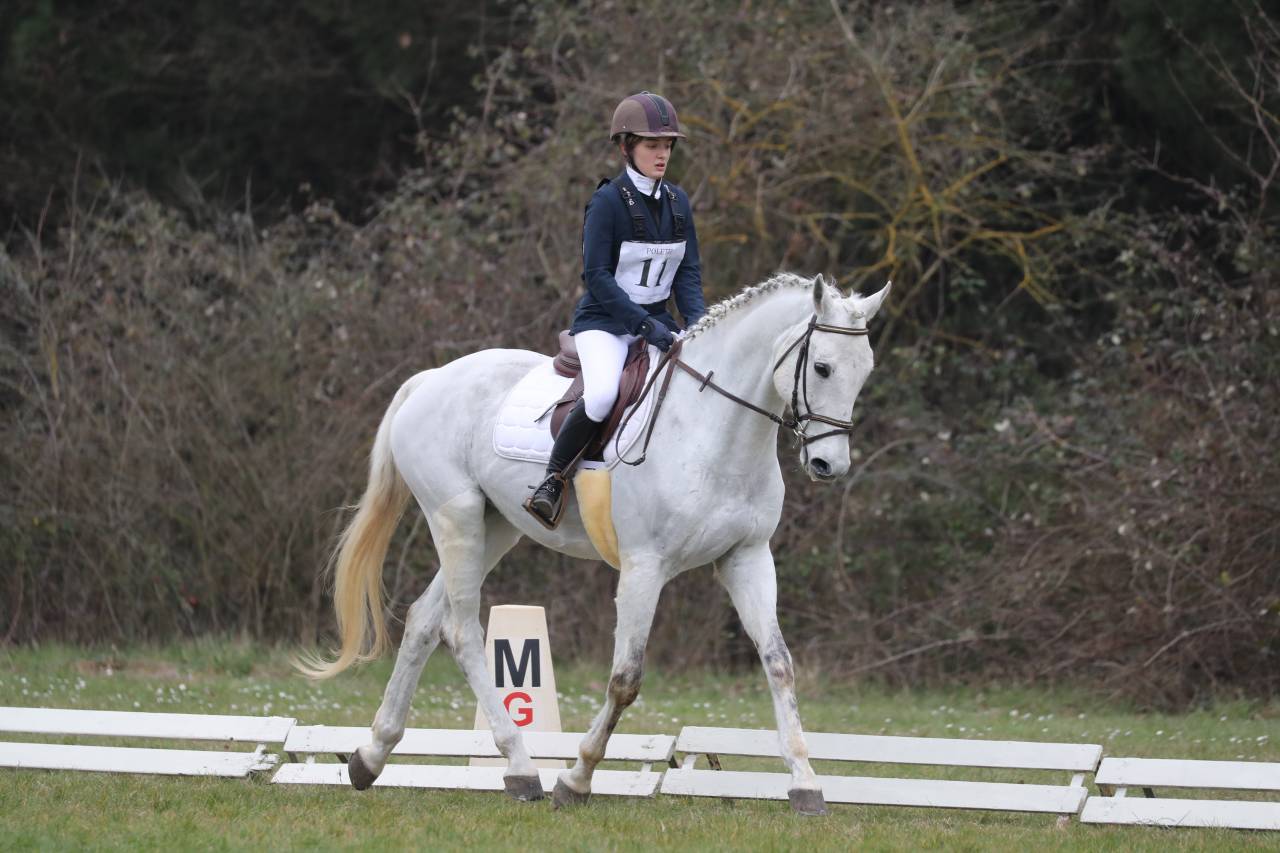 vendo sella italiano di 13 anni