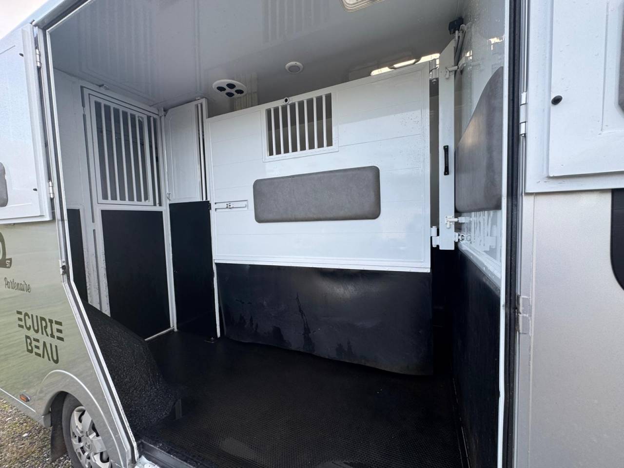 Van per Cavalli TBST Renault Master 2023 Occasione