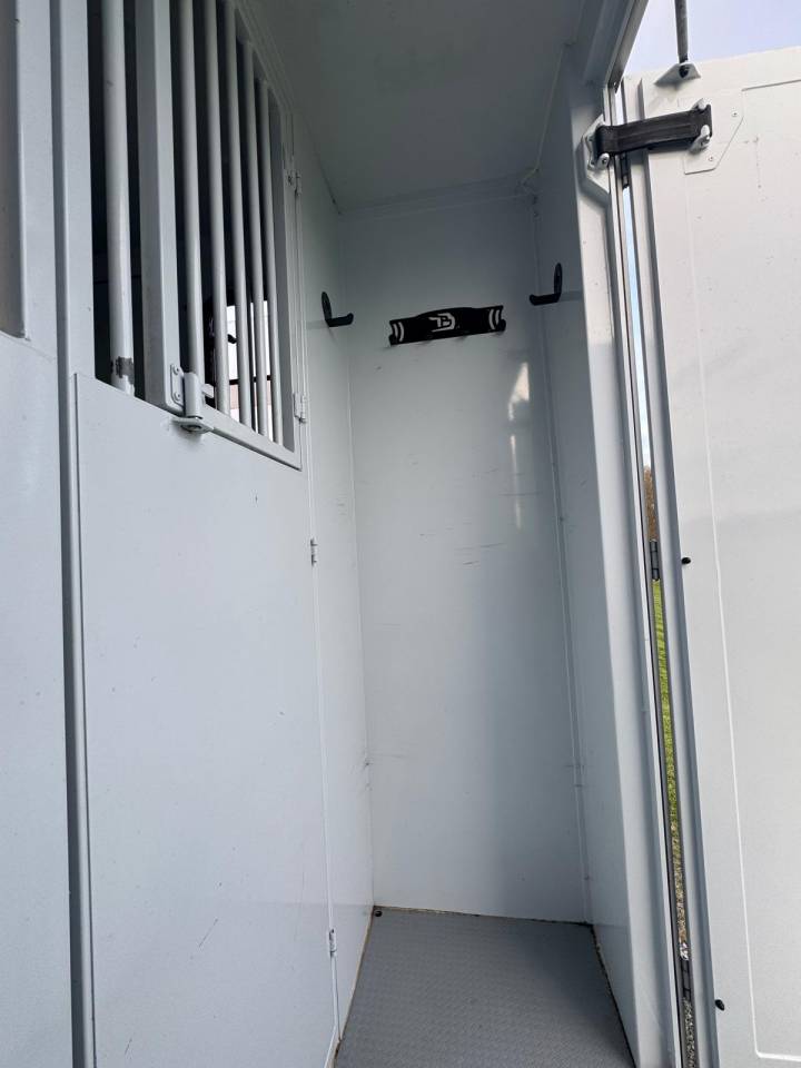 Van per Cavalli TBST Renault Master 2023 Occasione