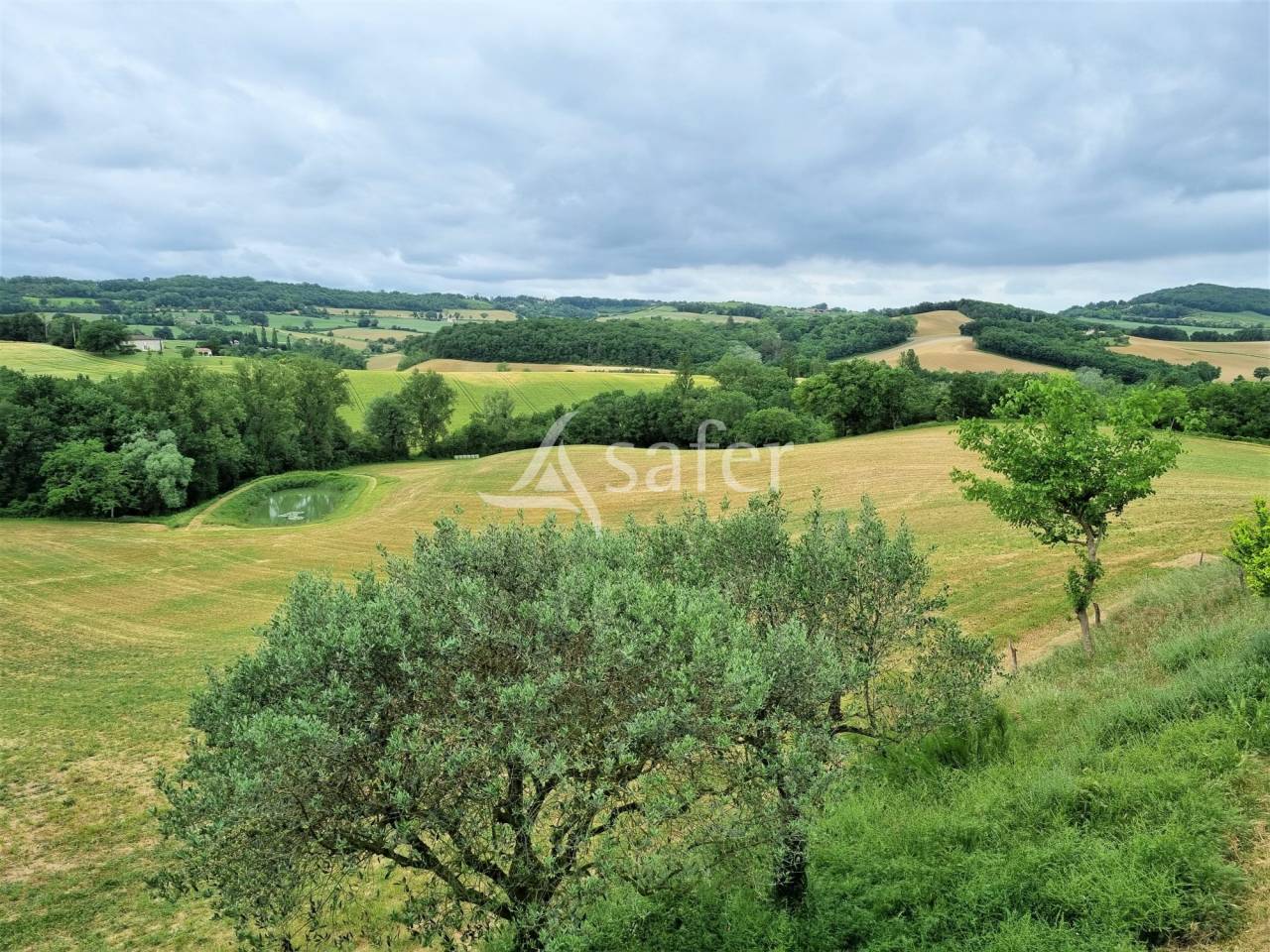 Proprietà rurale In vendita tarn