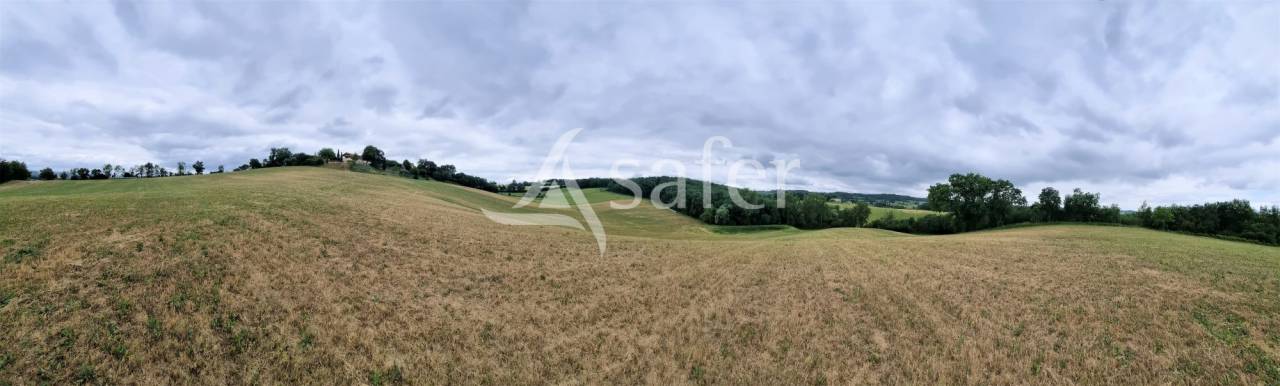 Proprietà rurale In vendita tarn