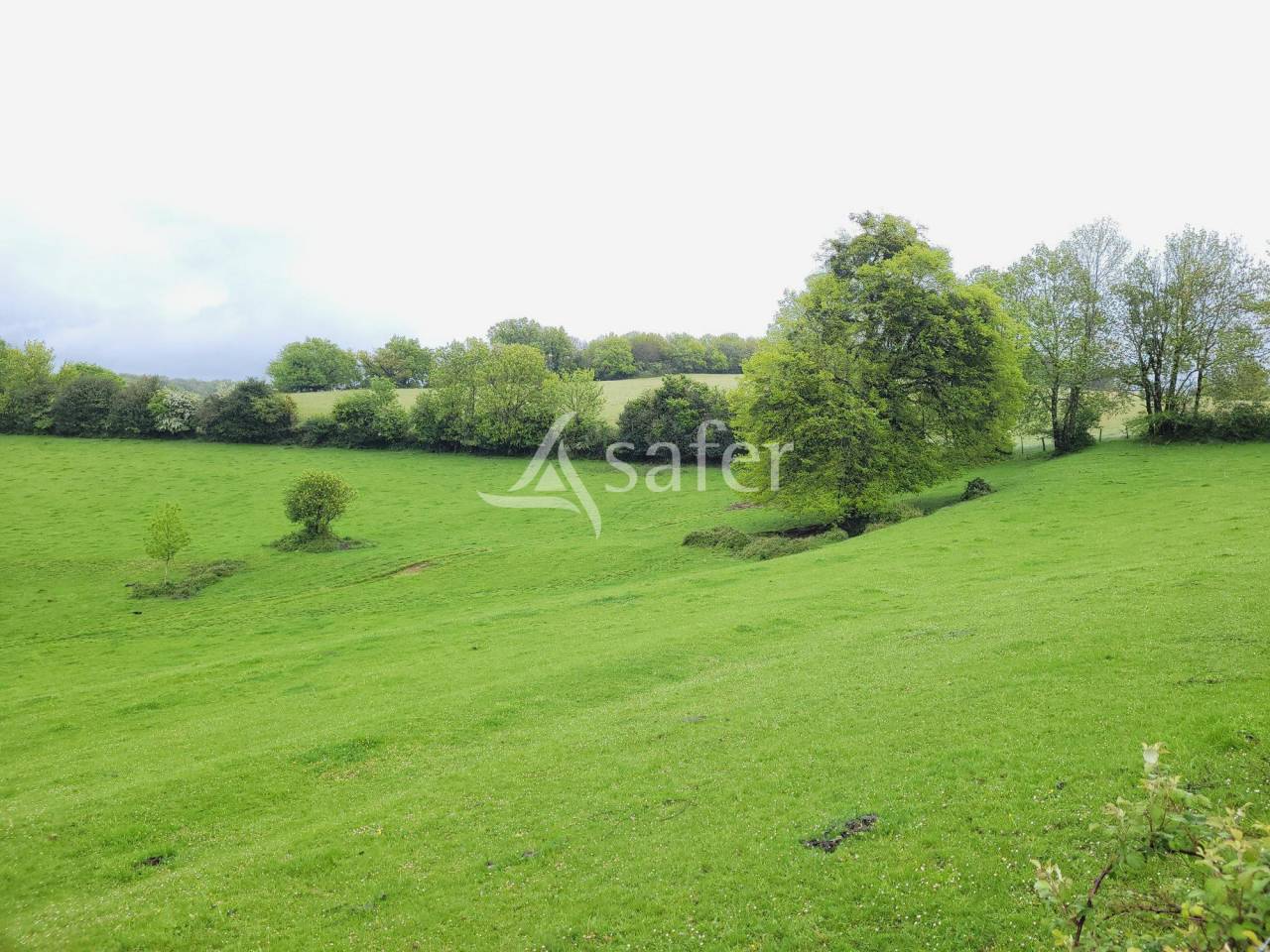 Azienda cerealicola In vendita tarn