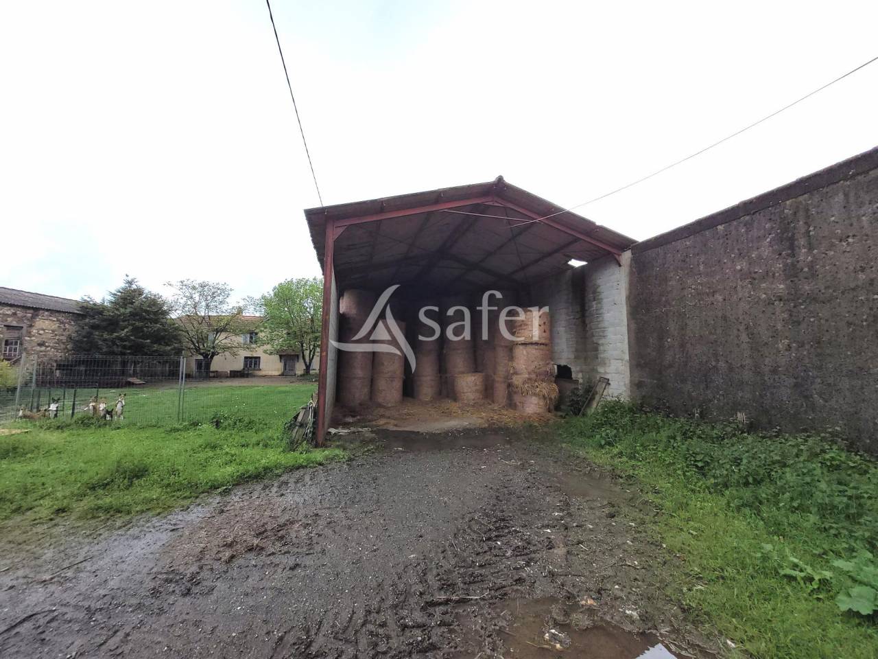 Azienda cerealicola In vendita tarn