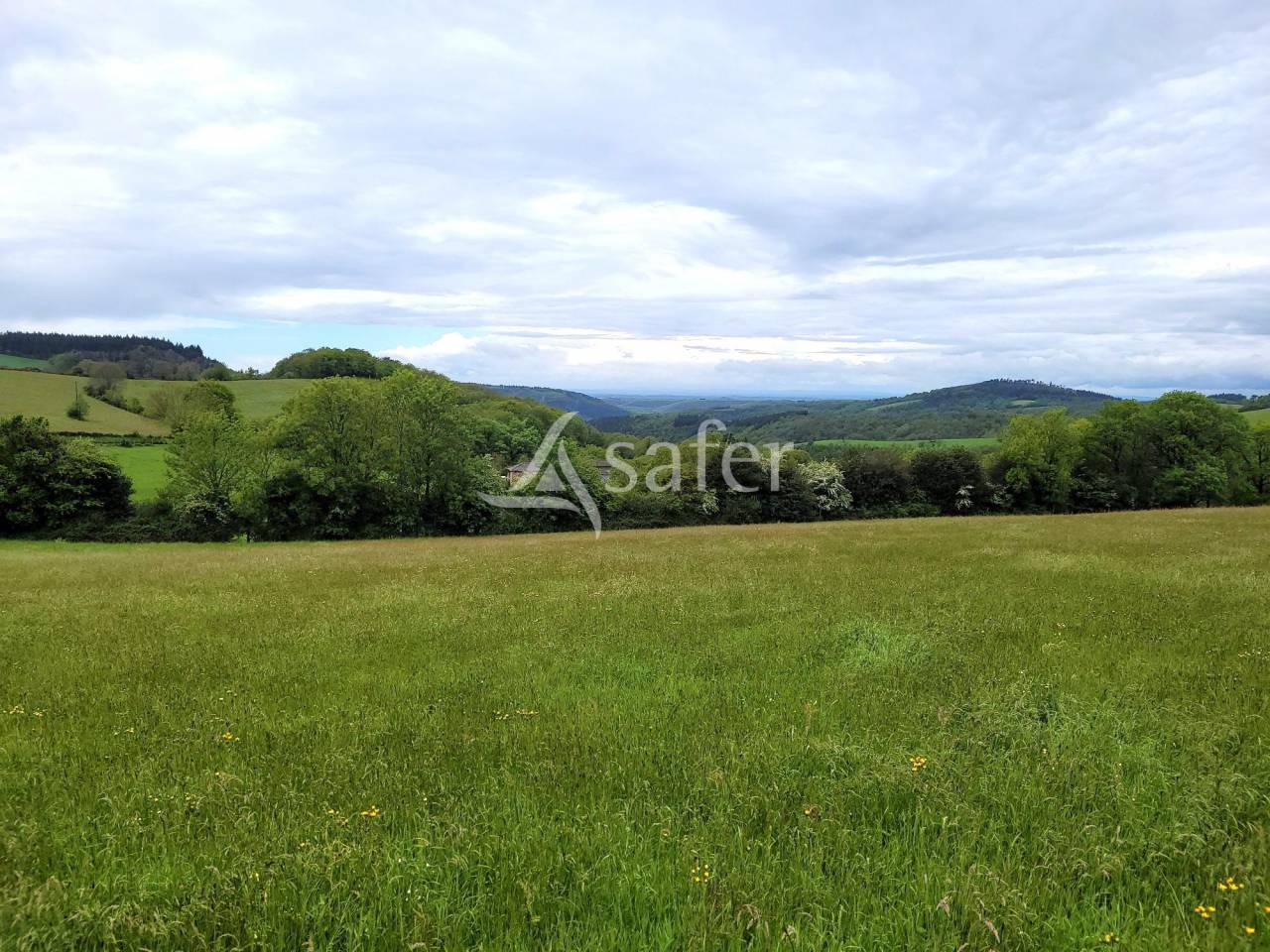 Azienda cerealicola In vendita tarn