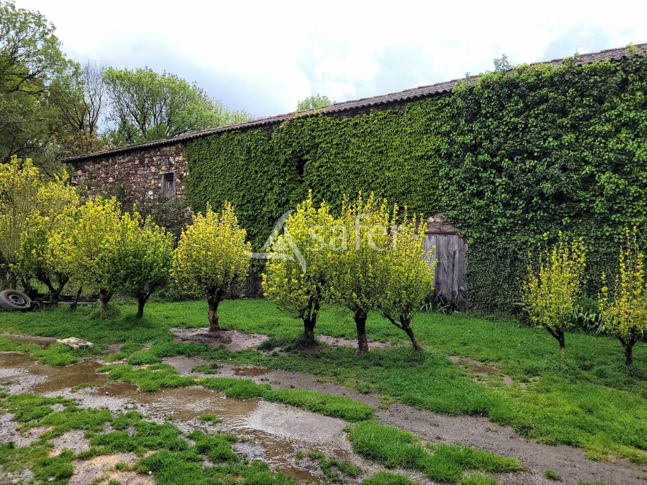Azienda cerealicola In vendita tarn