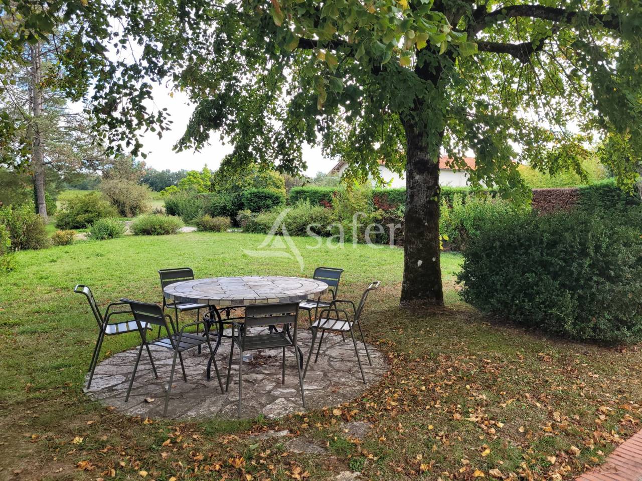 Proprietà rurale In vendita tarn