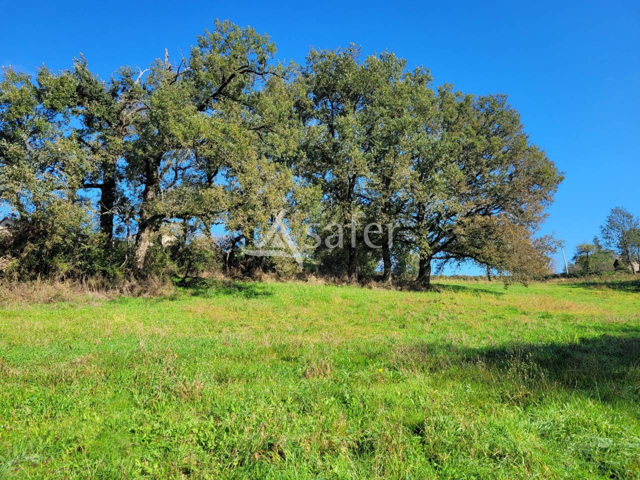 Proprietà rurale In vendita tarn