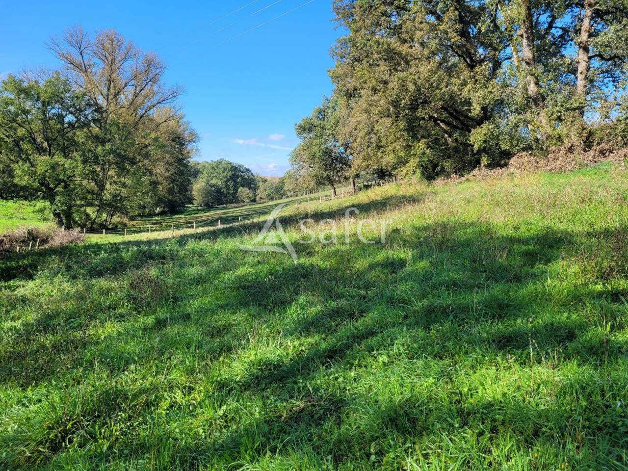 Proprietà rurale In vendita tarn