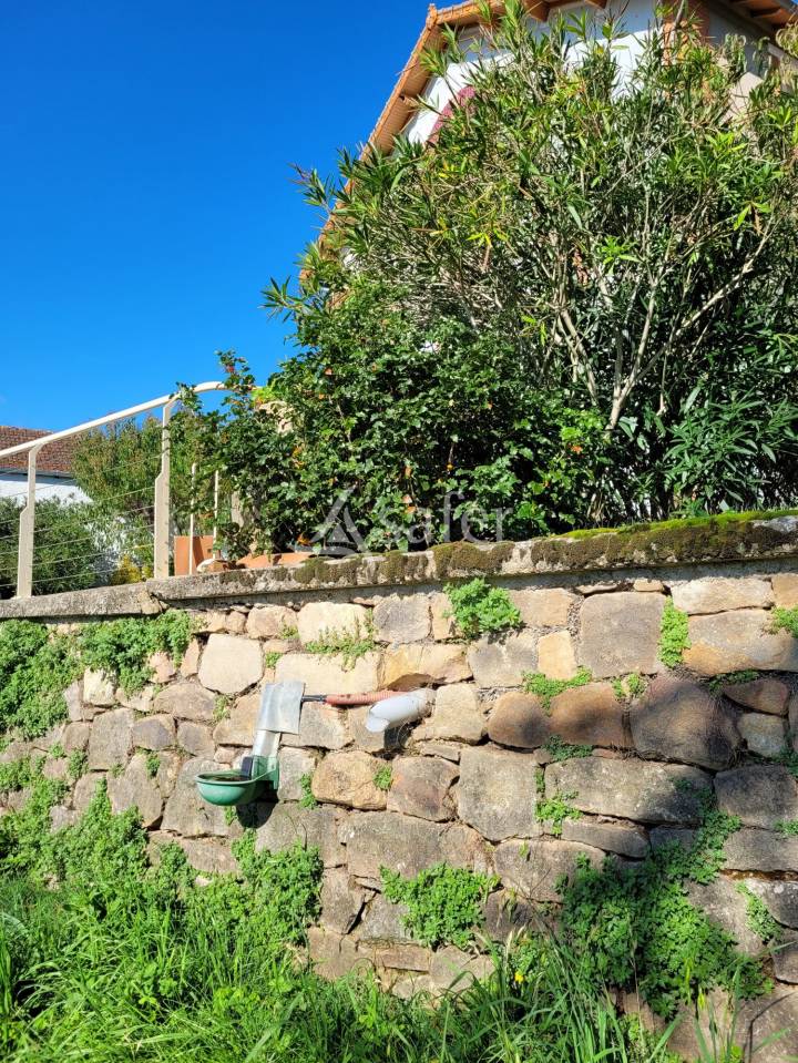 Proprietà rurale In vendita tarn