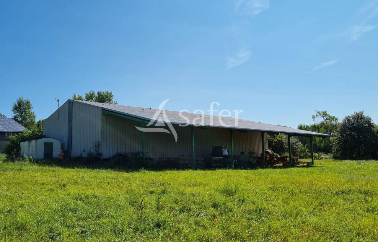 Azienda cerealicola In vendita tarn