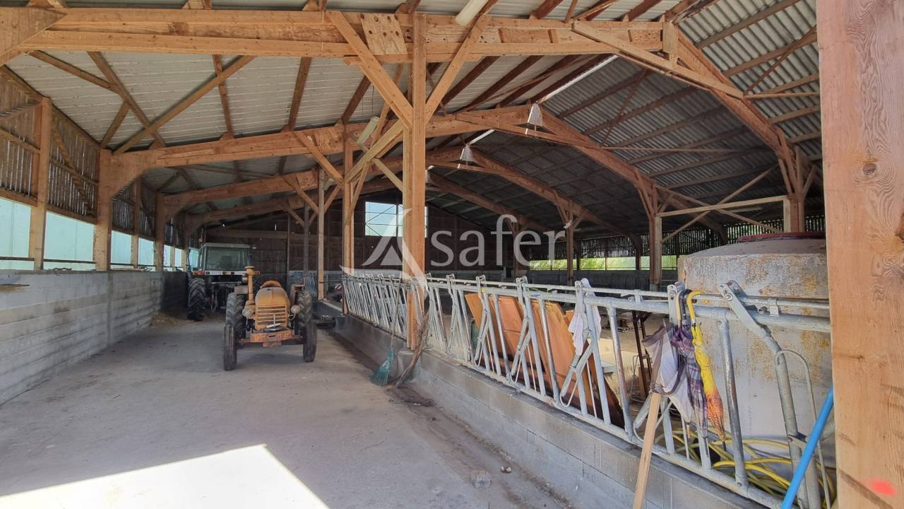 Azienda cerealicola In vendita tarn