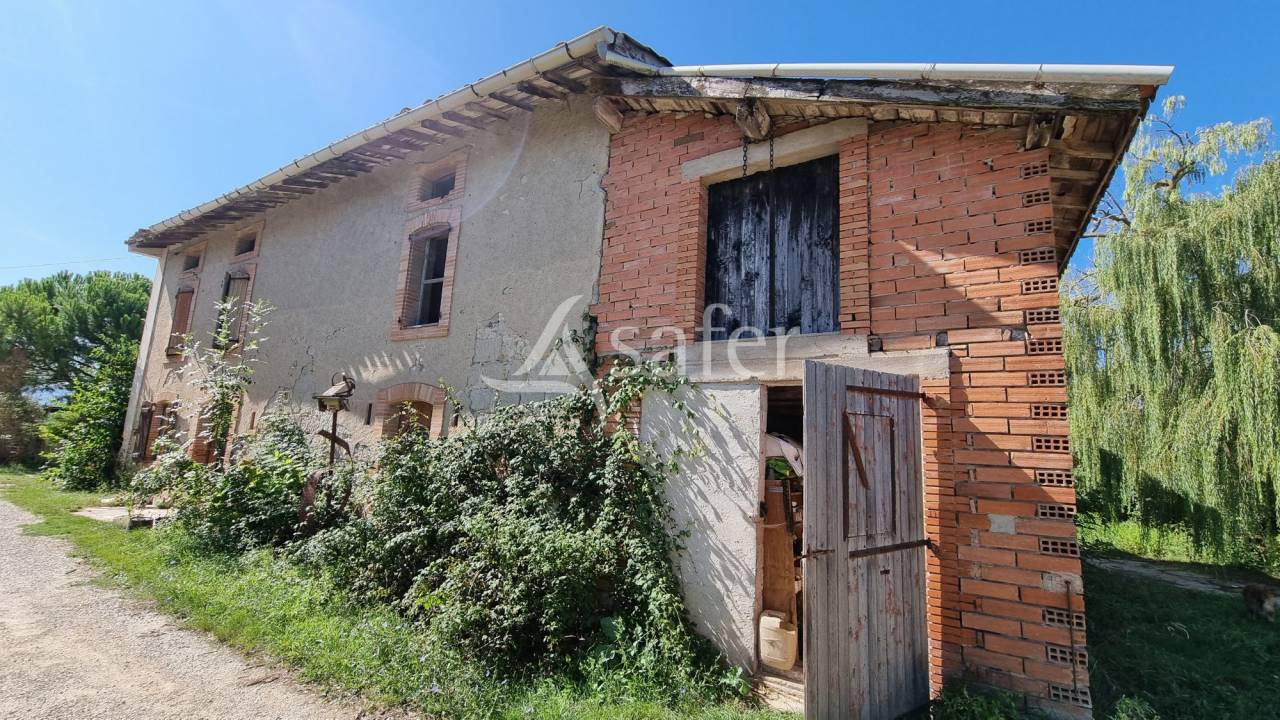 Azienda cerealicola In vendita tarn