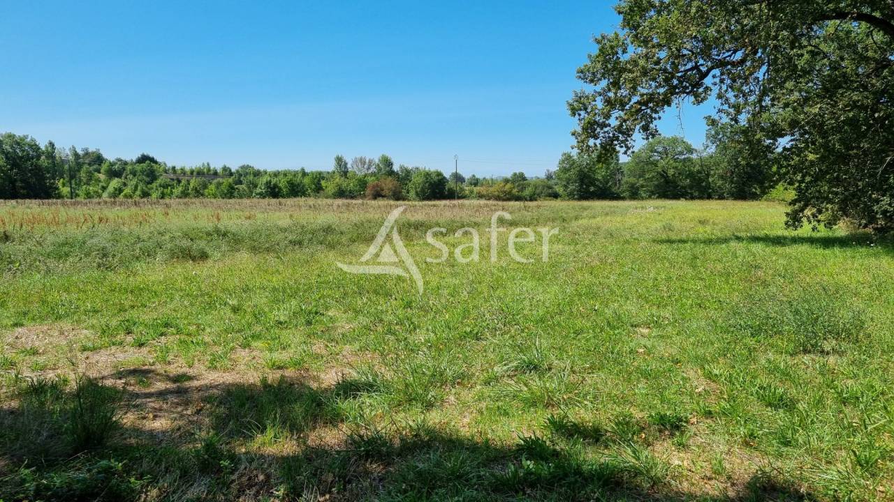 Azienda cerealicola In vendita tarn