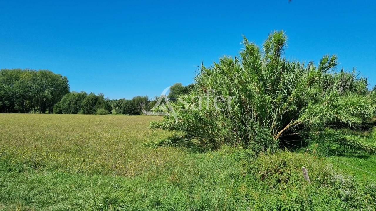 Azienda cerealicola In vendita tarn