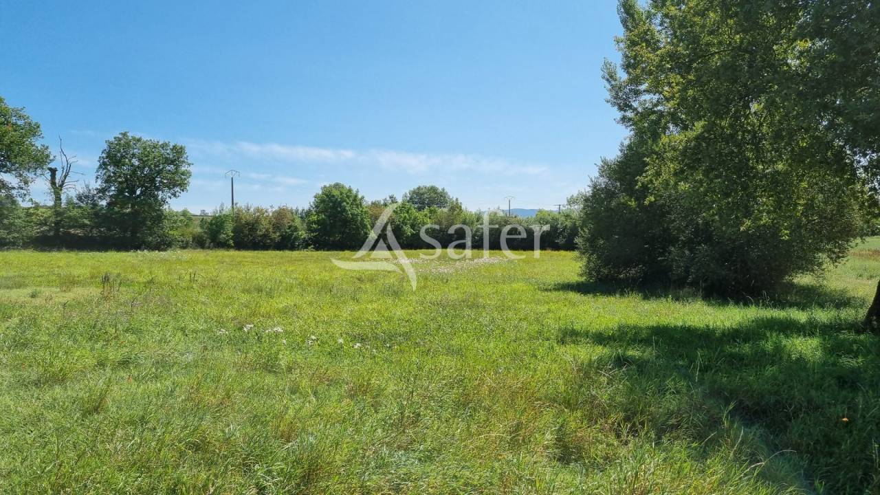 Azienda cerealicola In vendita tarn