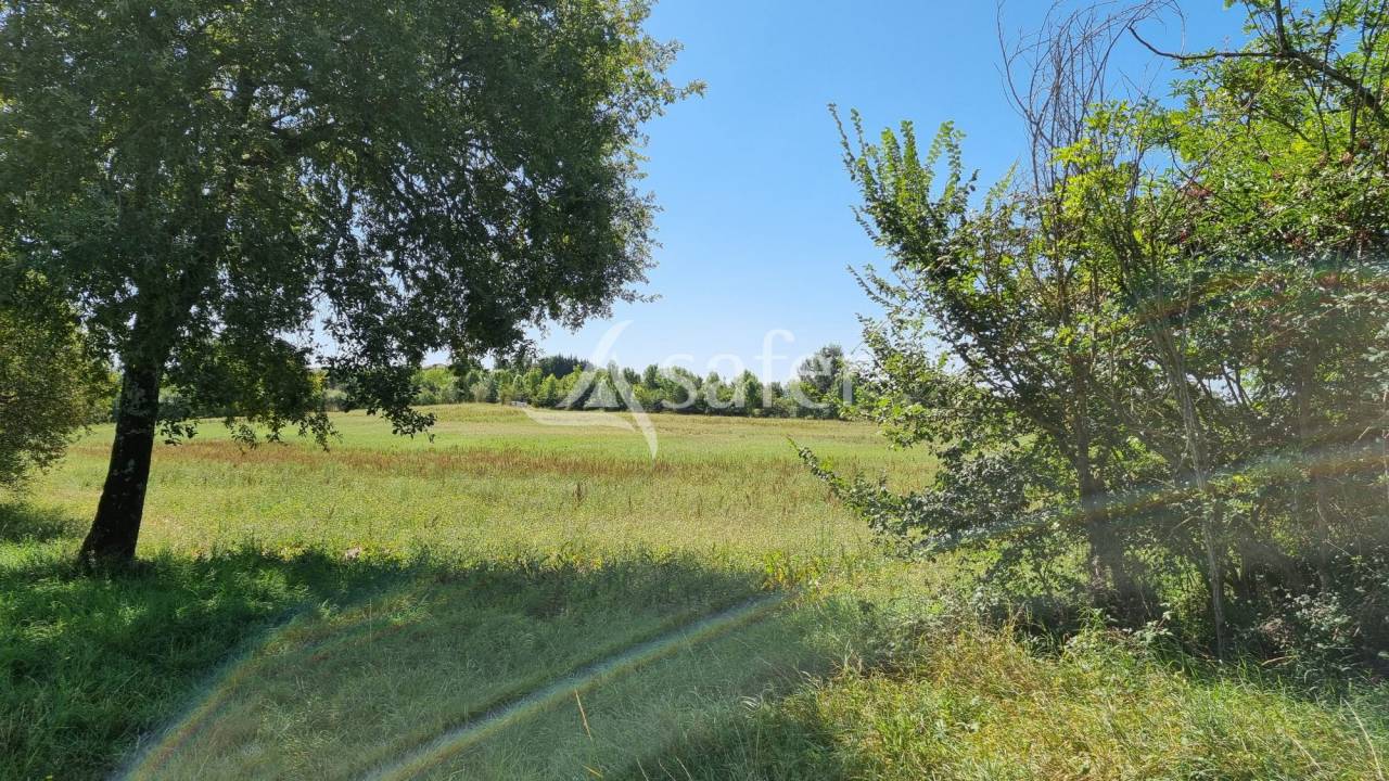 Azienda cerealicola In vendita tarn