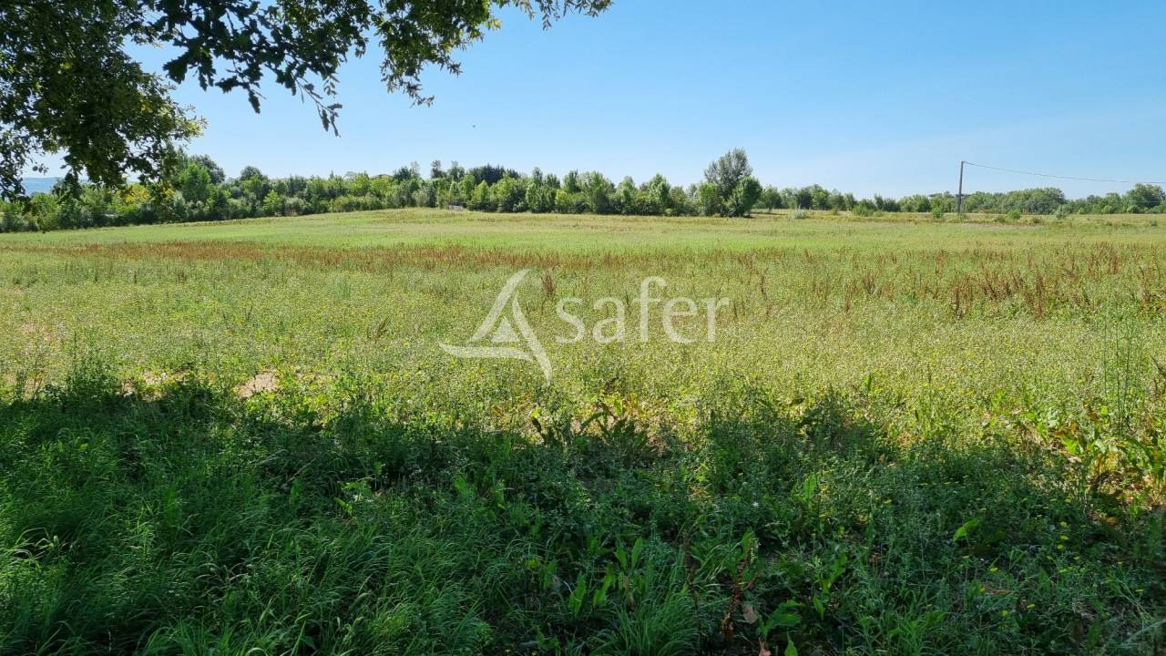 Azienda cerealicola In vendita tarn